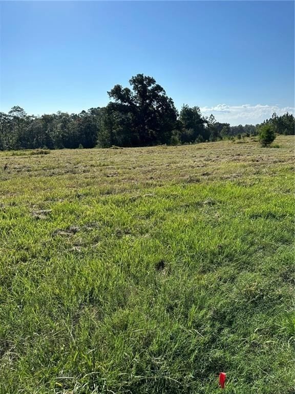 0 Hampton Rd unit 24516393, Mobile, AL 36608 - photo 4