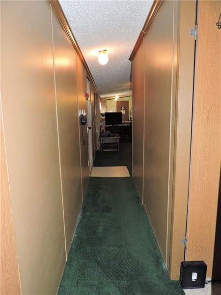 Hallway leading from bathroom to living room. Wall