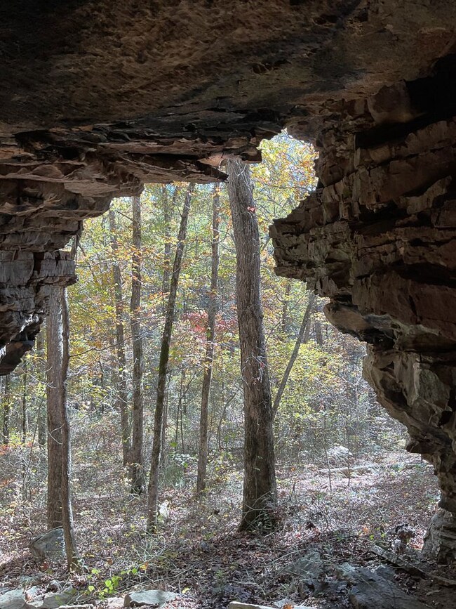 0000 Dump Mountain Rd, Mountain View, AR 72560 - photo 6