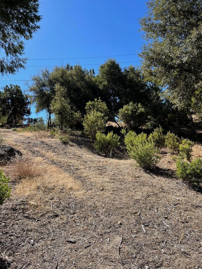 Looking up toward street