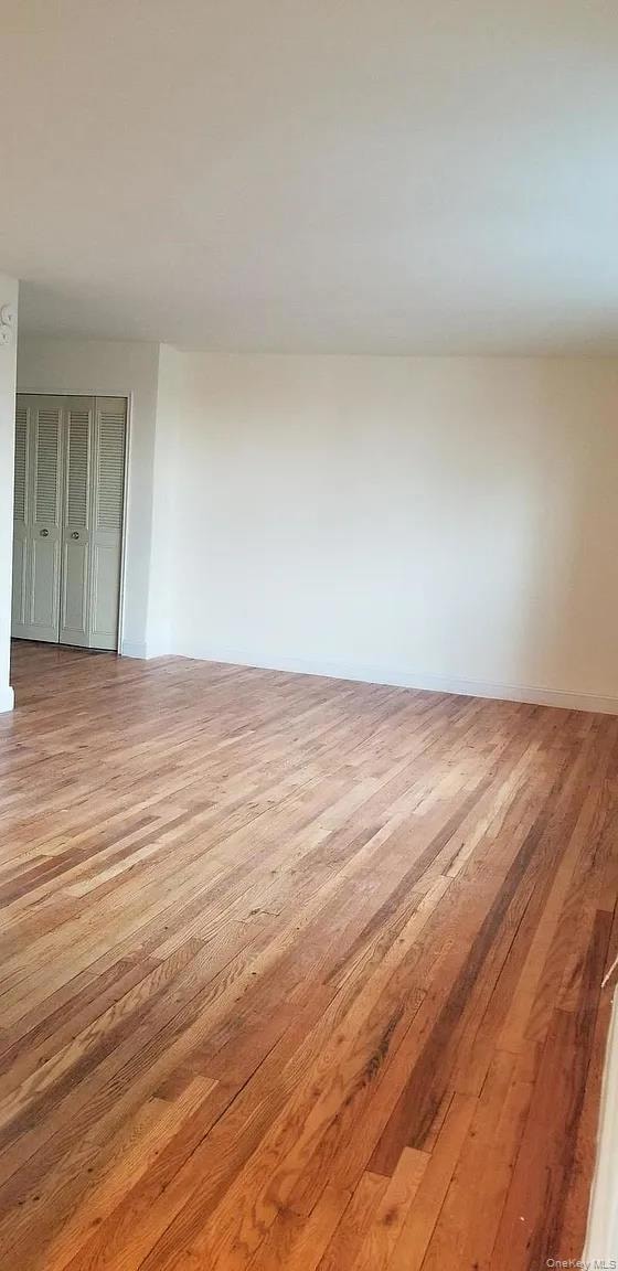 The Carlton House, Brooklyn, NY 11210 - photo 5