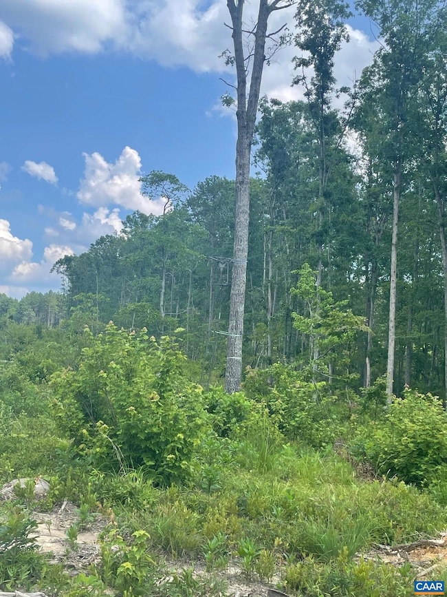 0 Passante Sr Ln unit 10 68 666509, Gordonsville, VA 22942 - photo 5