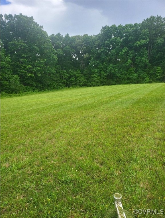 View of green lawn