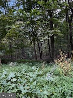 0 Cubby Hole Lane - Lot 25 unit WVMO2006624, Berkeley Springs, WV 25411 - photo 5