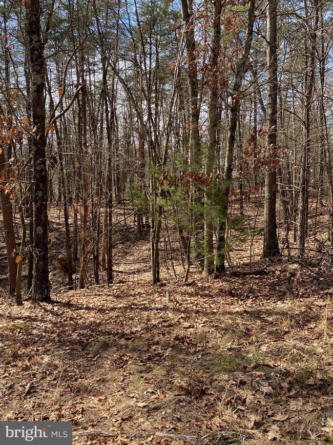 24 Pine Crest Ln, Winchester, VA 22603 - photo 2