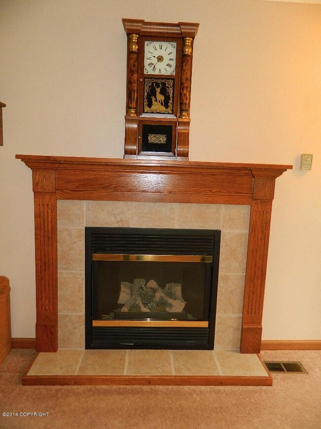 gas fireplace
