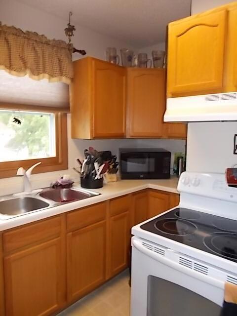 halone kitchen