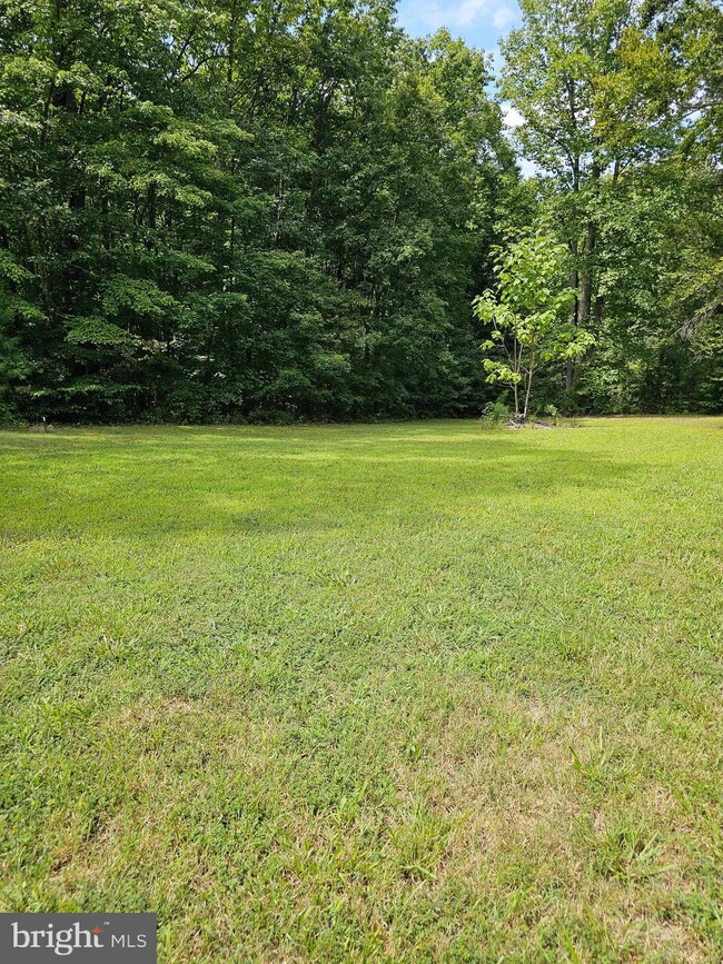 6624 Williams Ln, Spotsylvania, VA 22551 - photo 2