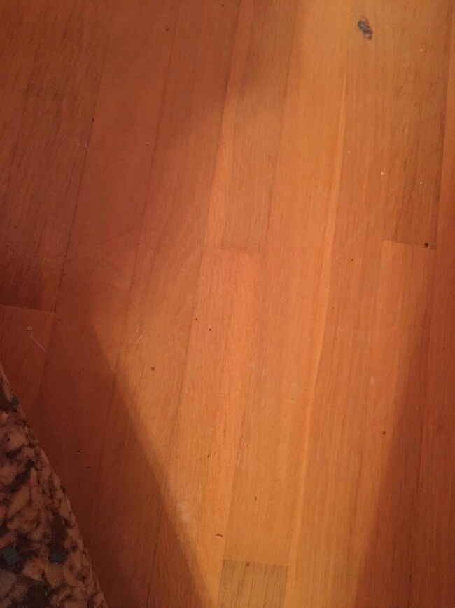 Schultes hardwood 3
