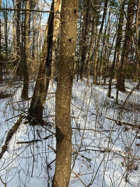 Lots 1 & 2 Eden Farm Rd, Pownal, ME 04069 - photo 6