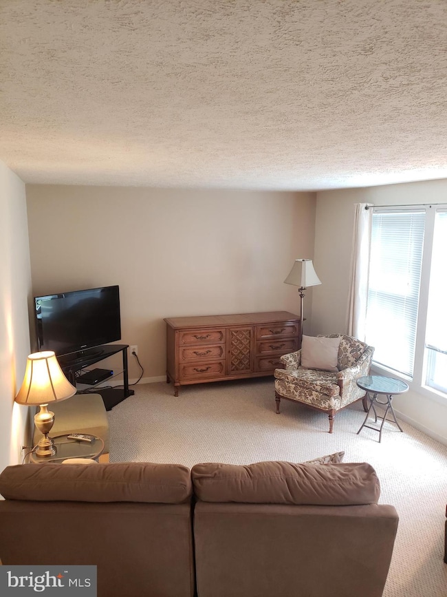 10934 Huntington Woods Cir, Fredericksburg, VA 22407 - photo 7