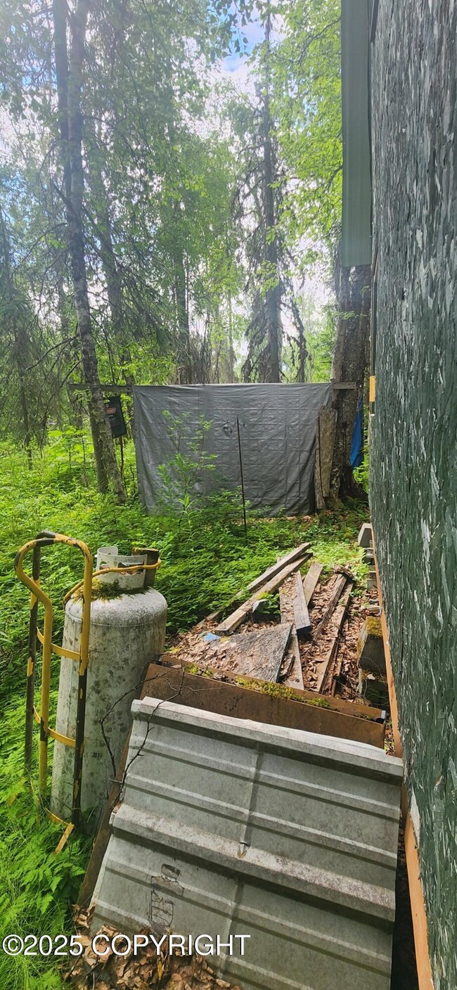 back of cabin
