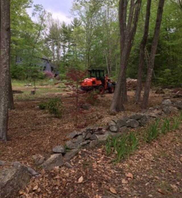 Stone wall, Japanese maples on this side of lot lo