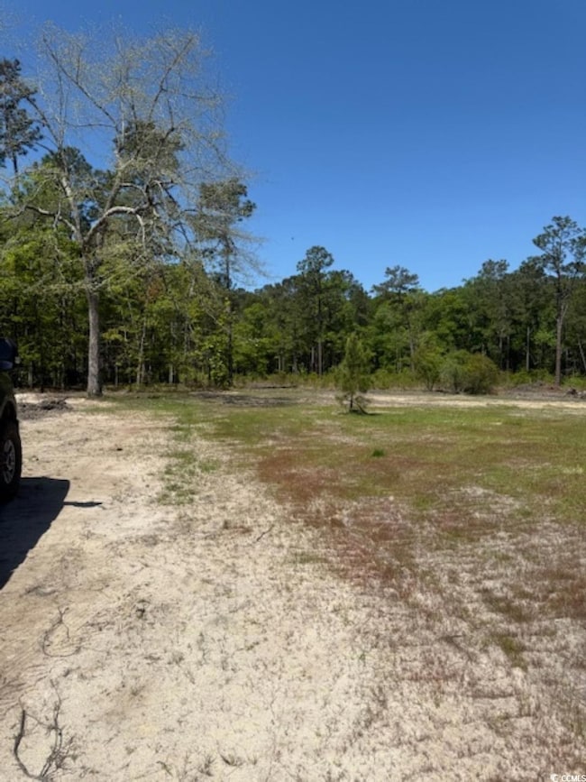 TBD Johnson Rd, Georgetown, SC 29440 - photo 3