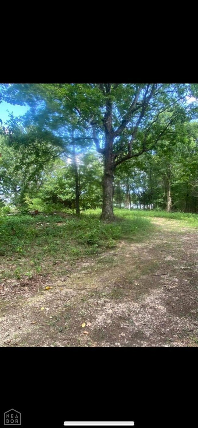 0 Fairview Rd, Paragould, AR 72450 - photo 5