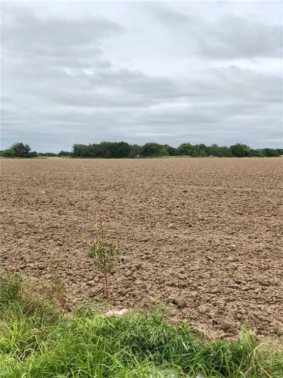 1.25M Whalen Rd, Donna, TX 78537 - photo 4