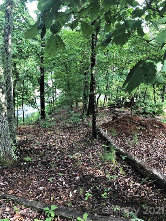 0 Lure Ridge Dr unit 26 3770330, Lake Lure, NC 28746 - photo 4
