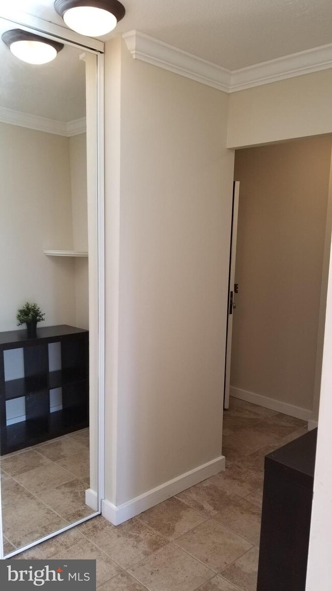 Tiber Island unit W-308, Washington, DC 20024 - photo 4