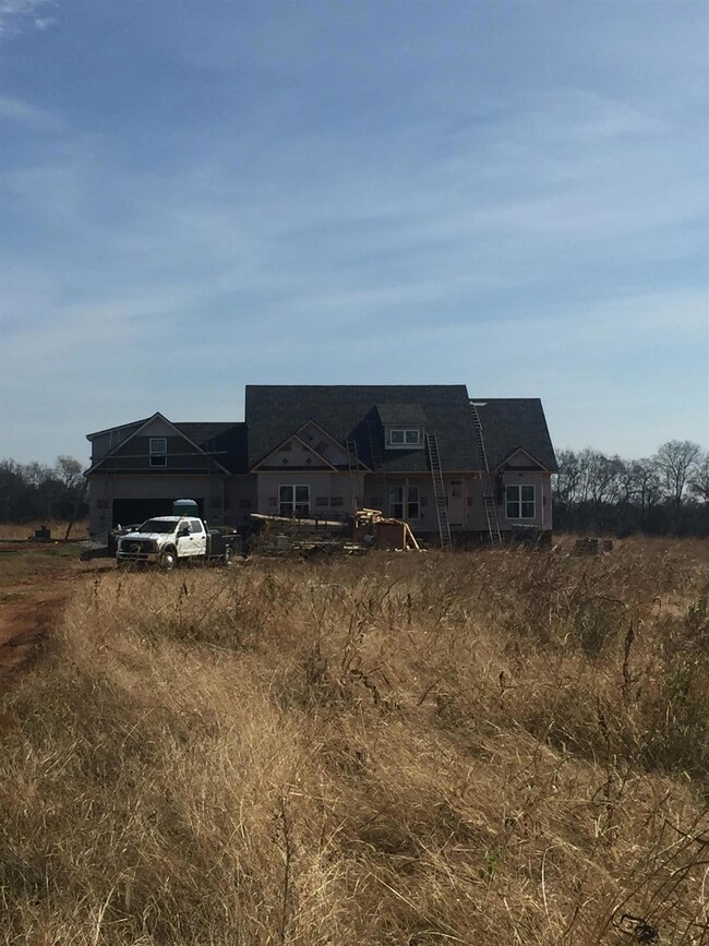 2781 Anes Station Rd, Lewisburg, TN 37091 - photo 4