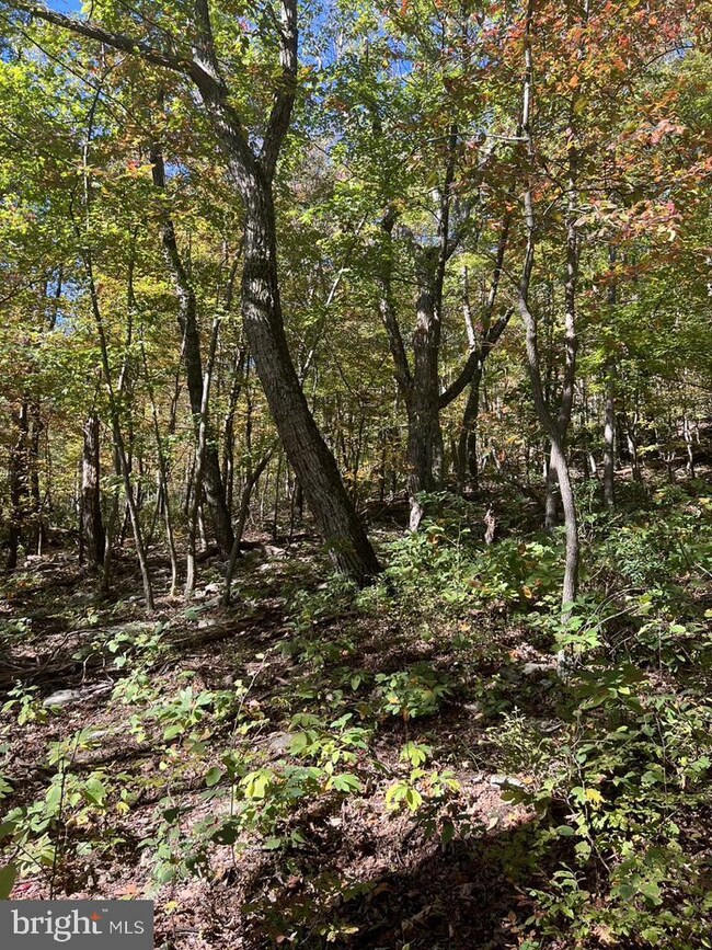 Lot 12 Mountain Falls Blvd, Winchester, VA 22602 - photo 6
