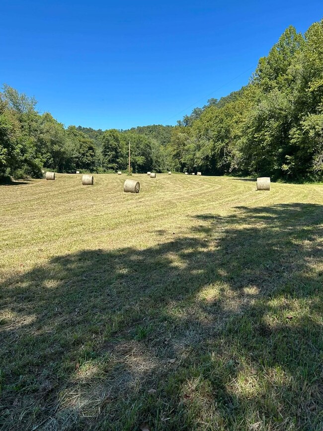 963 Pricey Creek Rd, Salyersville, KY 41472 - photo 4