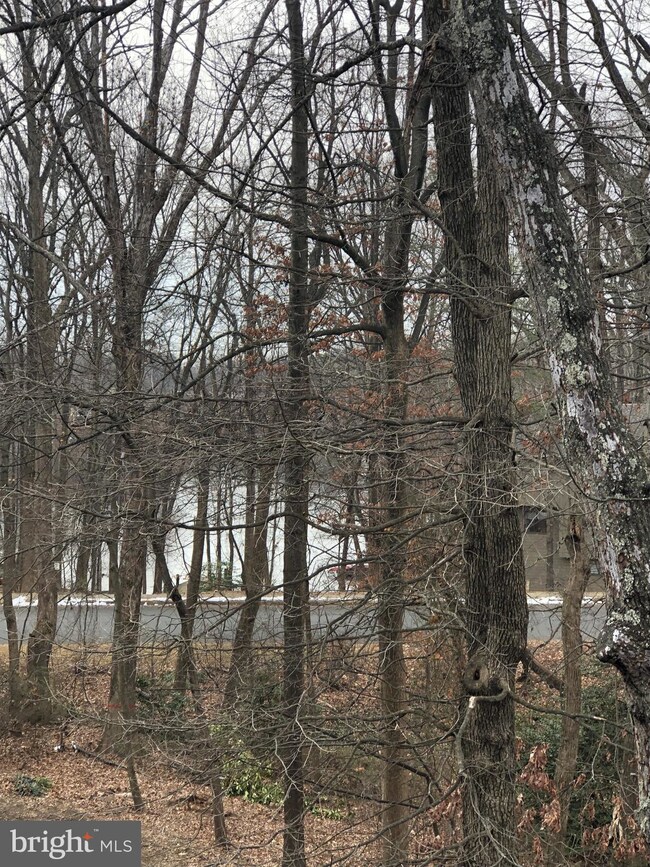 1970 Winterport Cluster, Reston, VA 20191 - photo 5