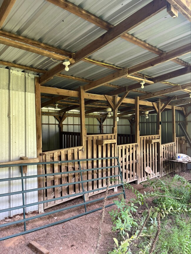 1047 County Road 4452, Bivins, TX 75555 - photo 7