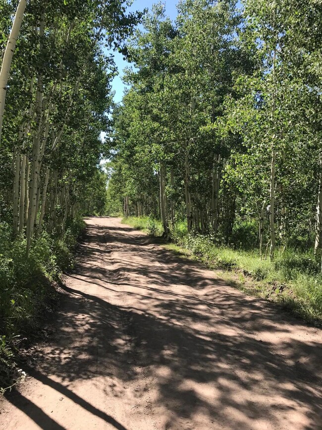 0 Lot 15 Blk B Unit 1 unit Green Meadows Acres, Brian Head, UT 84719 - photo 6