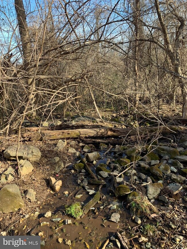 0 Appalachian Ln unit VAWR138236, Linden, VA 22642 - photo 2