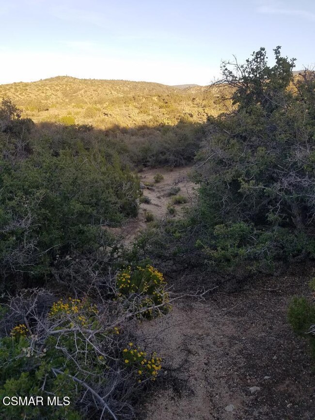 0 W Panorama unit 225005664, Llano, CA 93544 - photo 7