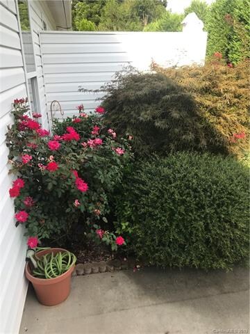 Back patio area