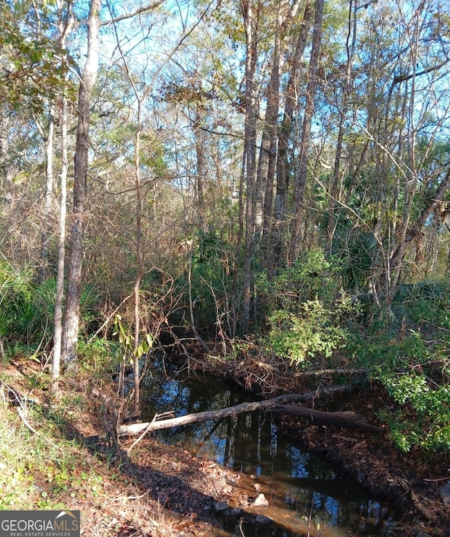 1962 Butler Johnson Rd, White Oak, GA 31568 - photo 7