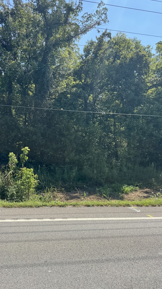 8322 Horton Hwy, College Grove, TN 37046 - photo 4