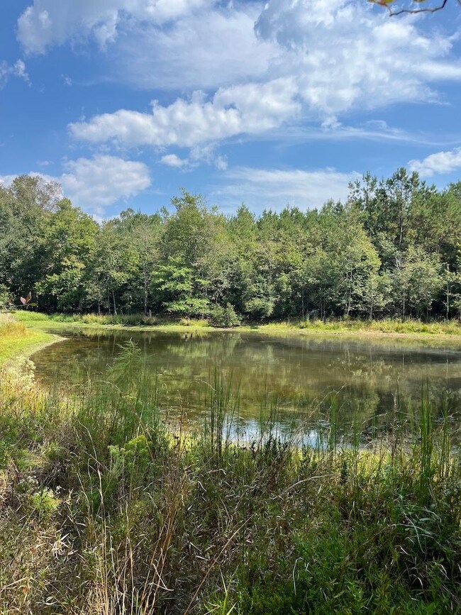 La Hwy 60 unit LotWP001, Franklinton, LA 70438 - photo 5