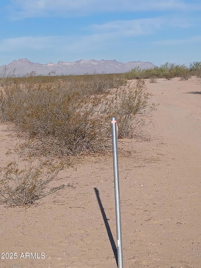 547 P S 547th Ave unit P, Tonopah, AZ 85354 - photo 5