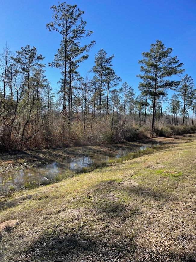 Lot 1 Ms-44, Columbia, MS 39429 - photo 2