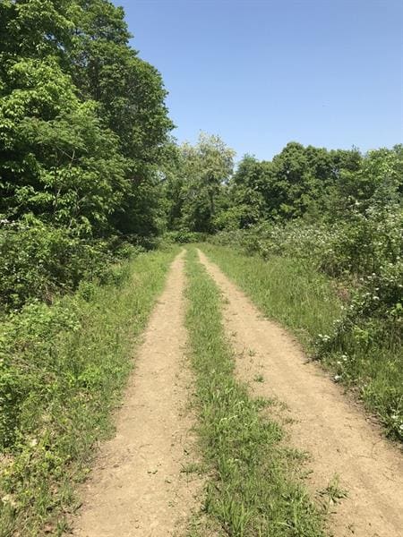 Access Road