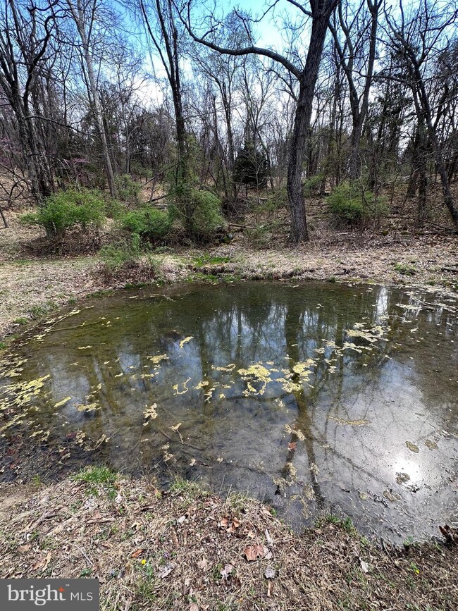 2669 Robert Ours Rd, Petersburg, WV 26847 - photo 3