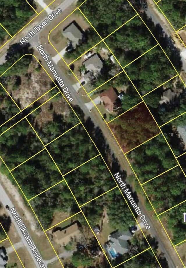 8383 N Manuetta Dr, Citrus Springs, FL 34434 - photo 2