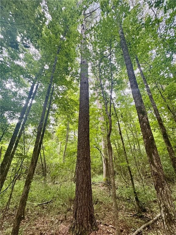 tbd Route 6, Natchitoches, LA 71457 - photo 2