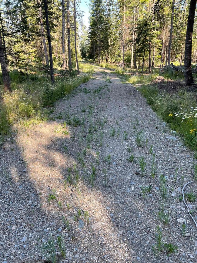 360 Chuck Wagon Ln, Cusick, WA 99119 - photo 3