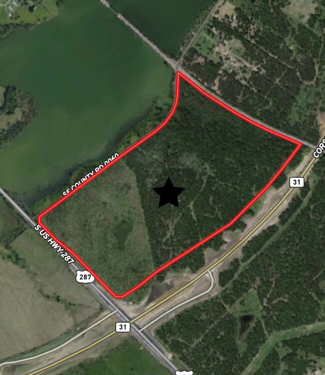 TBD 108.5 Acres Highway 287, Corsicana, TX 75109 - photo 4