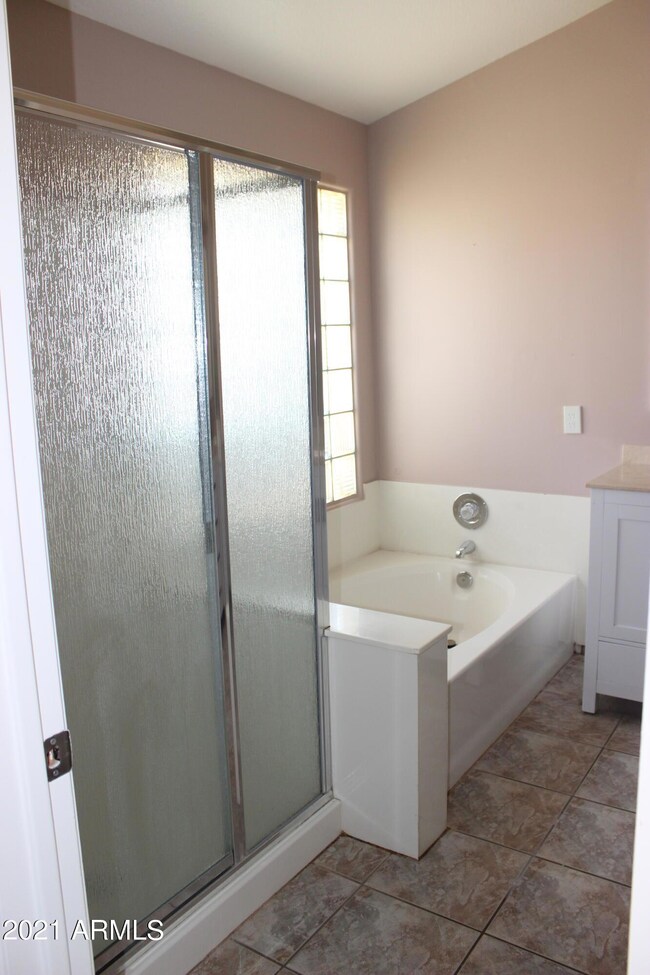 Master Shower & Tub