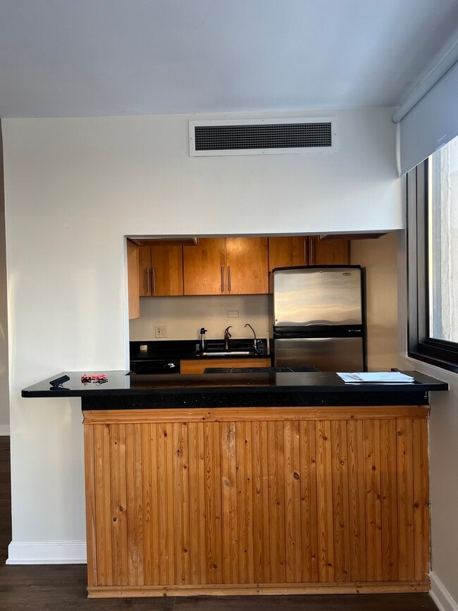 Brandon Shores Condominiums unit 6A, Chicago, IL 60660 - photo 6