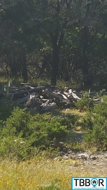 15957 Brazos Dr, Temple, TX 76502 - photo 4