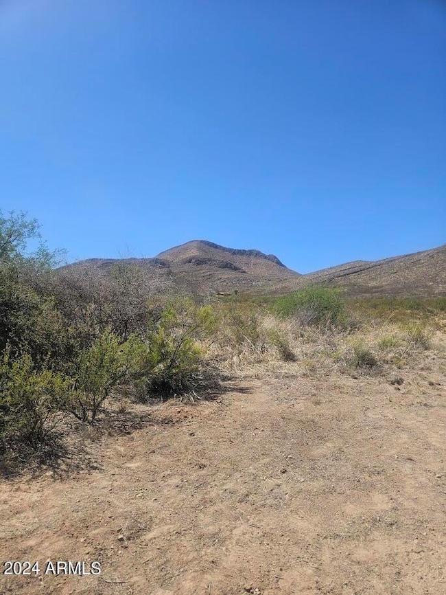 38 Acres W Highway 82 -- unit 6, Huachuca City, AZ 85616 - photo 6