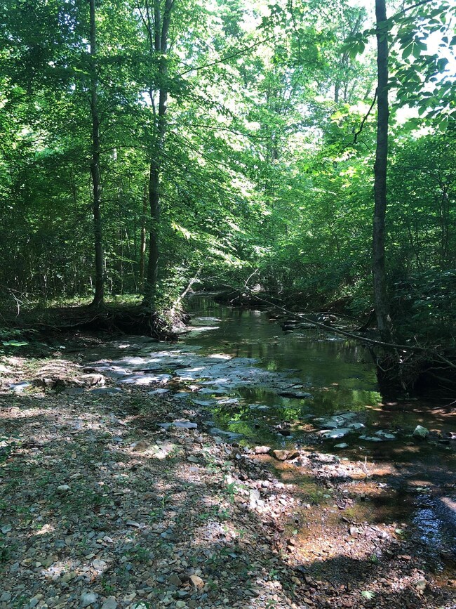 Creek!