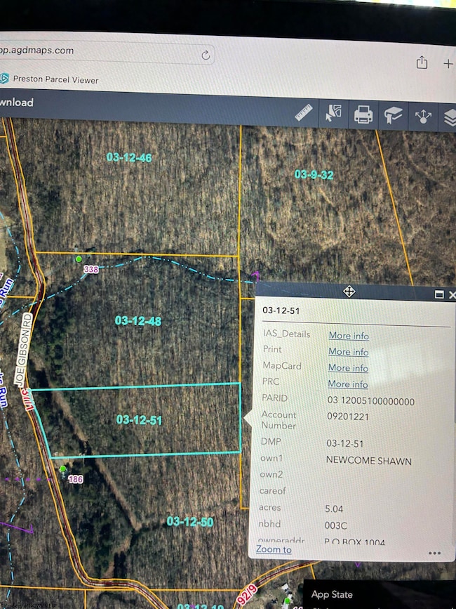 TBD Joe Gibson Rd, Newburg, WV 26410 - photo 6