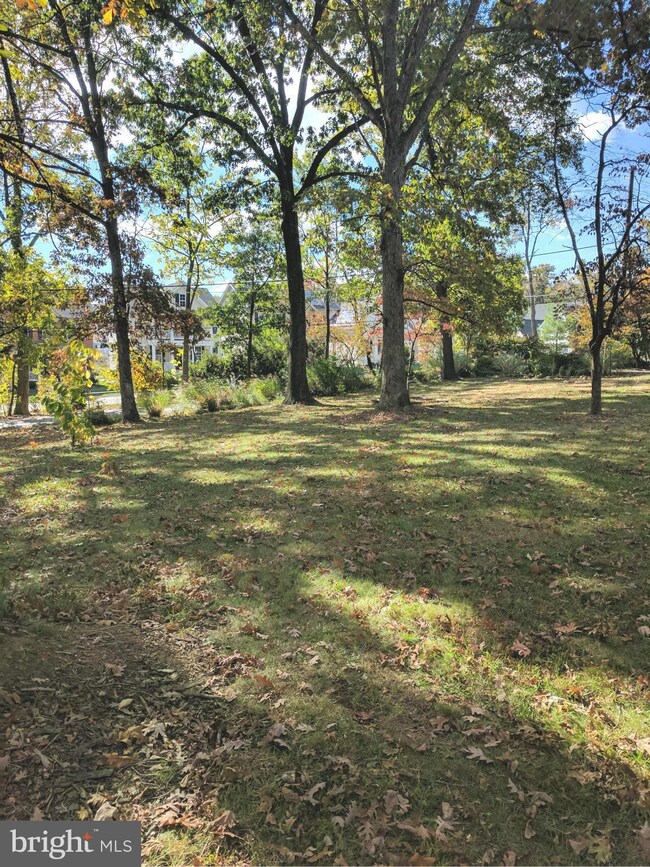 334 Ridge Rd, Washington Grove, MD 20880 - photo 4