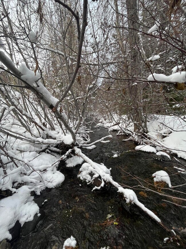 0 Olive Creek Rd unit 220175401, Granite, OR 97877 - photo 7